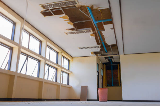 Best Sewage cleanup and water damage restoration  in Broussard, LA