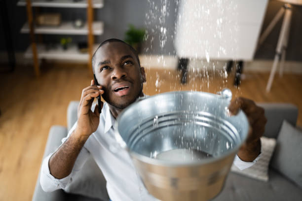 Best Local water damage restoration  in Broussard, LA