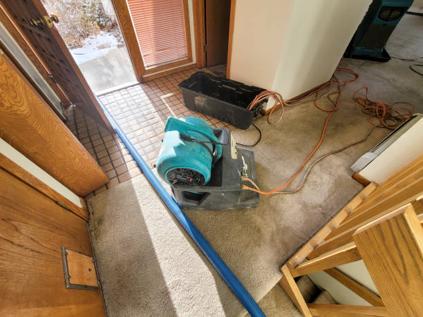 Best Water damage contractors near me  in Broussard, LA