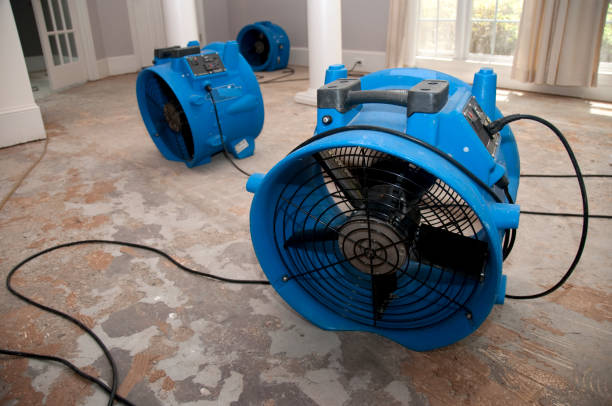 Best Sewage cleanup and water damage restoration  in Broussard, LA