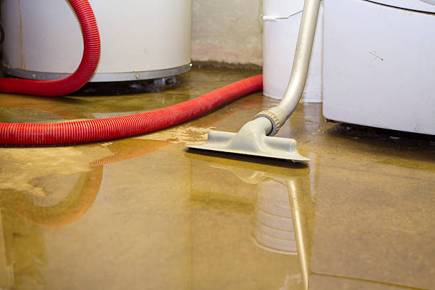 Best Professional water damage repair  in Broussard, LA