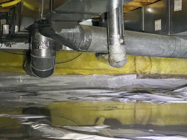 Best Flood damage cleanup  in Broussard, LA
