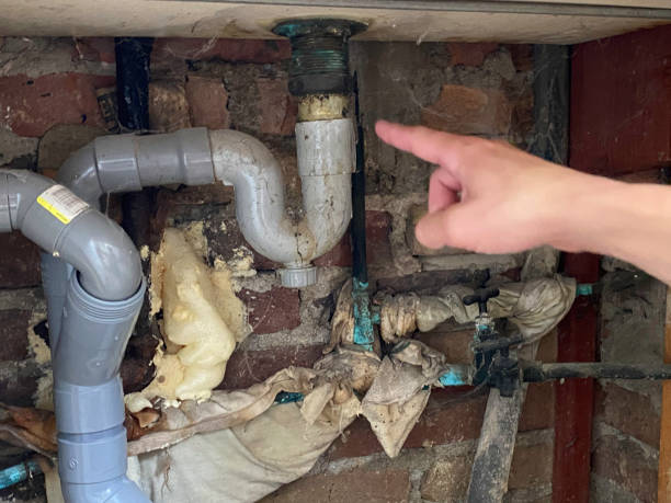Best Water damage cleanup near me  in Broussard, LA