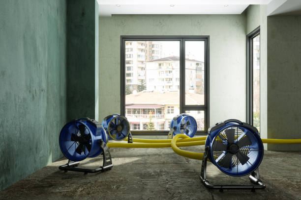 Best Ceiling water damage repair  in Broussard, LA