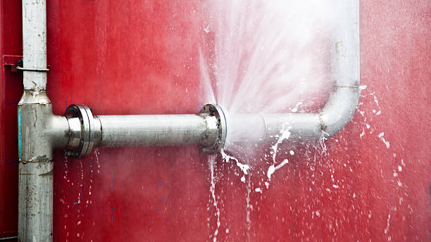 Best Flood restoration services  in Broussard, LA